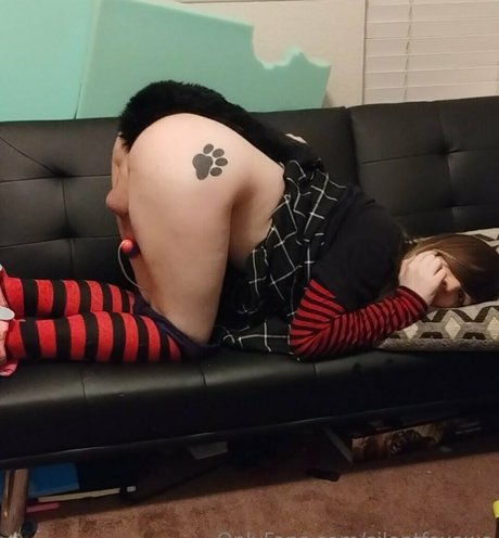 silentfoxowo adult star photos