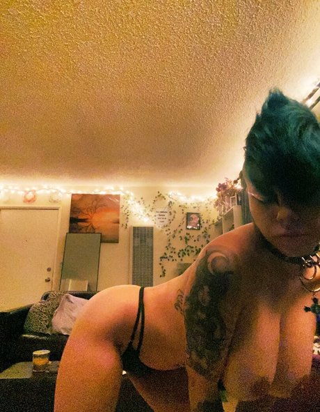 Littlegrudge pretty star gallery