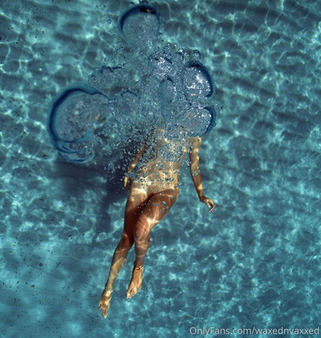 waxednvaxxed star art gallery