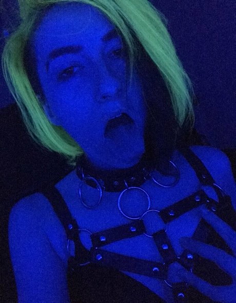 deviouslilwolf perfect star pictures