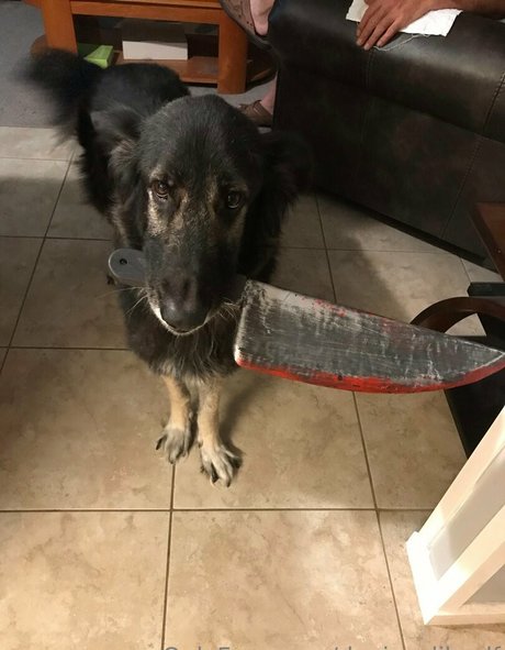 deviouslilwolf model hd img