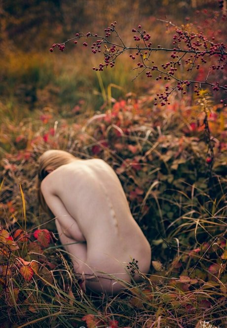 kacaduch pornstar xxx archive