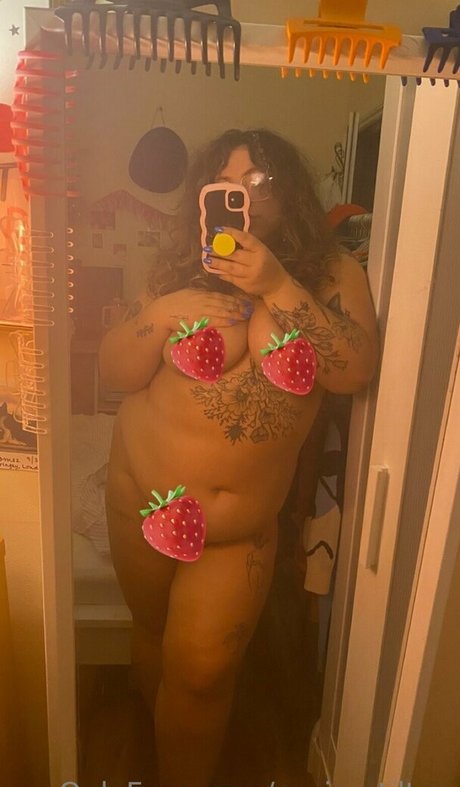 paris stilton high quality star gallery