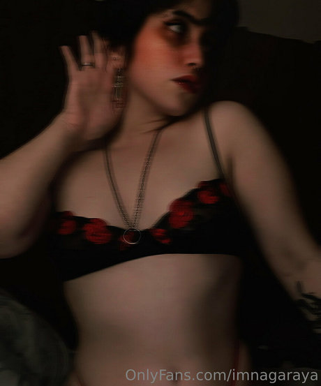 imnagaraya star exclusive gallery