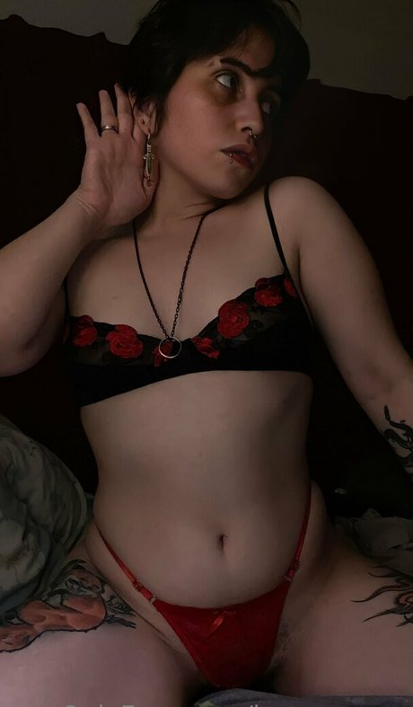 imnagaraya star high quality pics