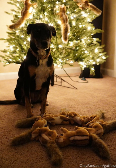 gutfuzz star sexy images