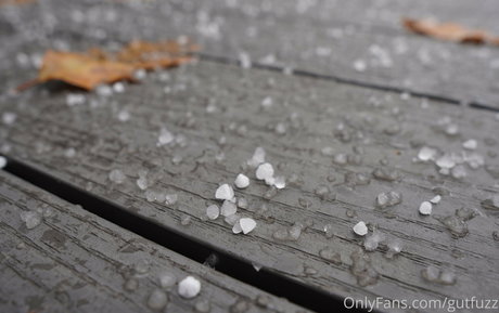 gutfuzz perfect model archive