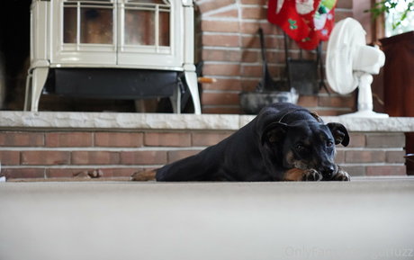 gutfuzz nudes pornstar gallery