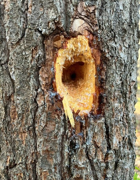 gutfuzz pornstar exclusive pictures