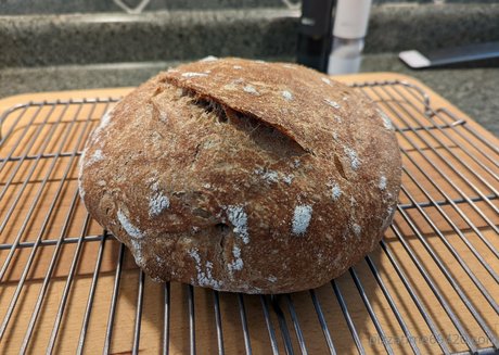 gutfuzz nice actress photos