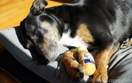 gutfuzz model sexy gallery