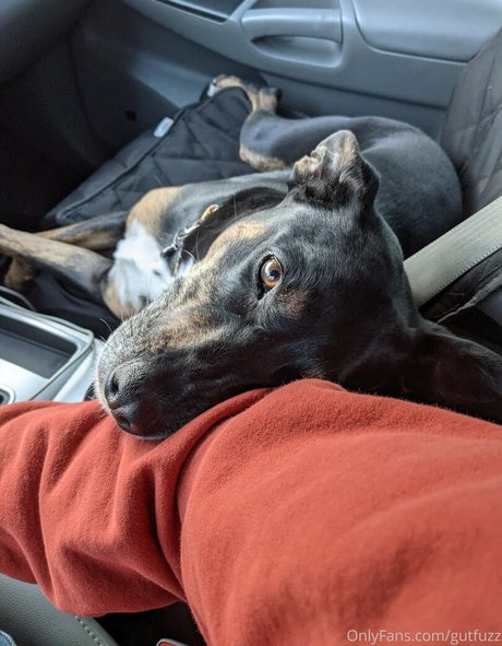 gutfuzz top model pics