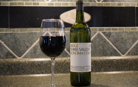 gutfuzz model pretty gallery