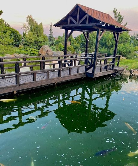 eva taft best actress gallery