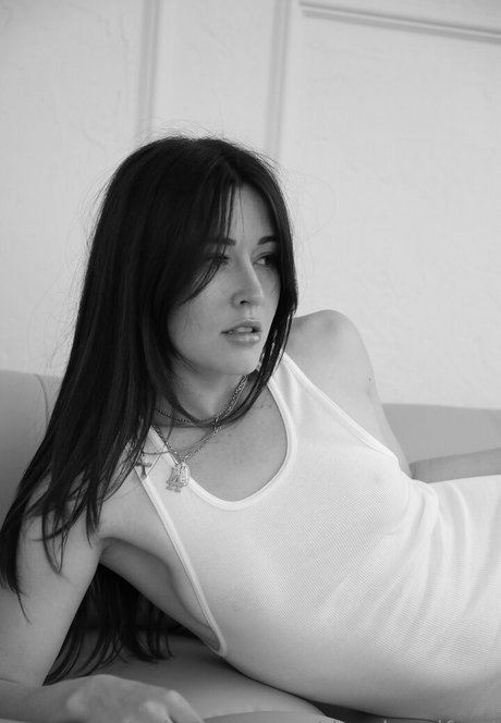 dreybradford star best galleries