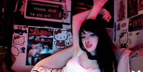 Lostwetdog best star photo