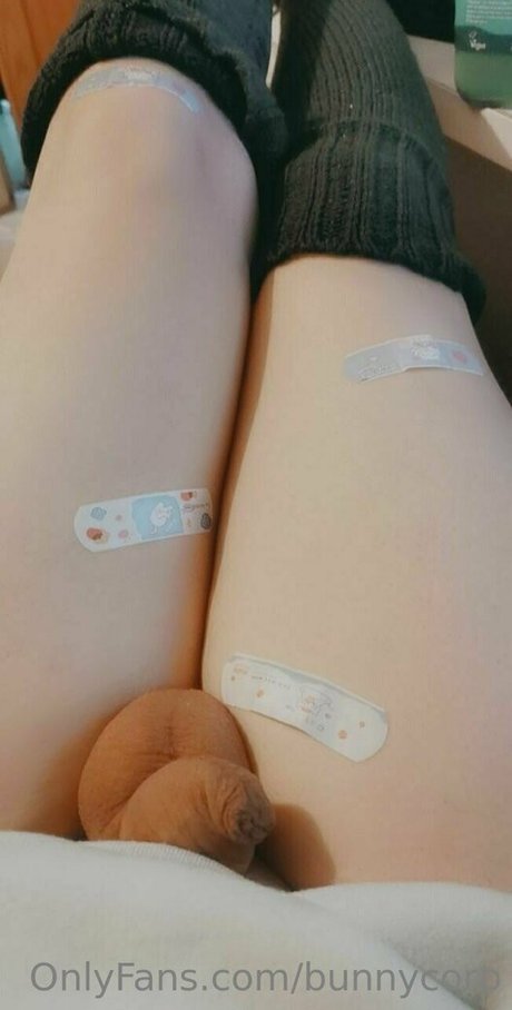 bunnycorp Profile pic