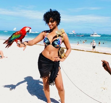 Taylor Rooks model nice gallery