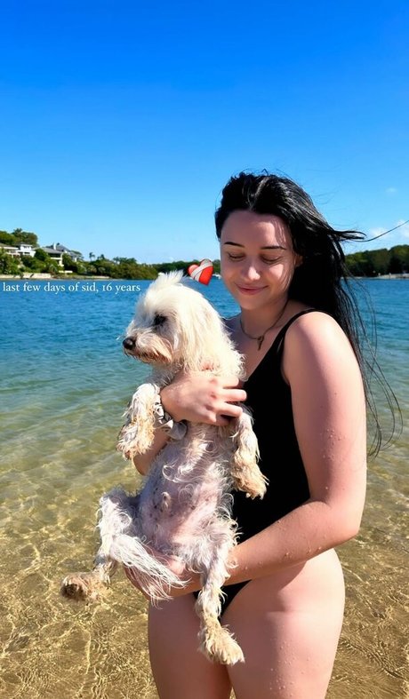 LivBev top pornstar archive