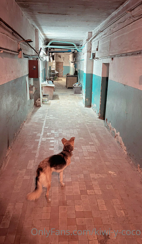 kiwi y coco model hot galleries