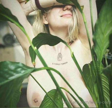 kiwi y coco star beautiful archive