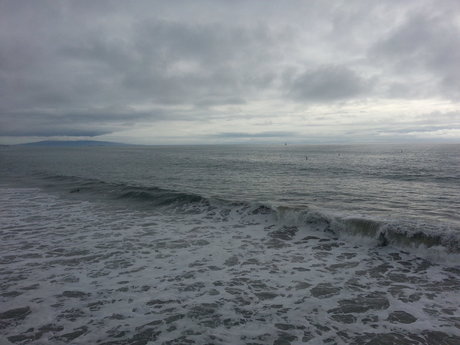 jamie marinoff star picture