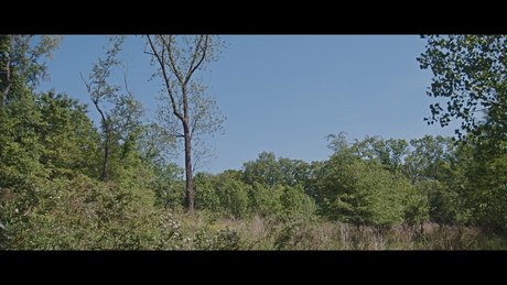 oatmilk69 art actress galleries