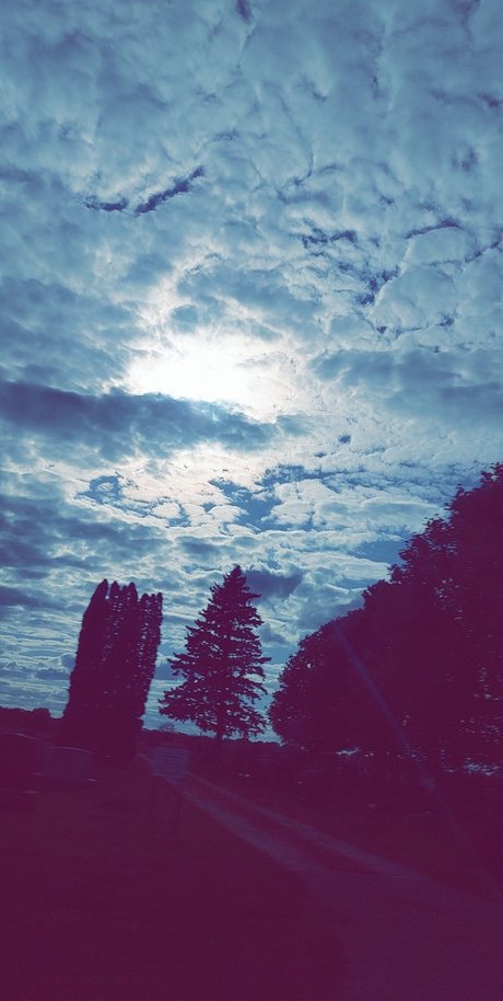 Nutty professoar porn star image