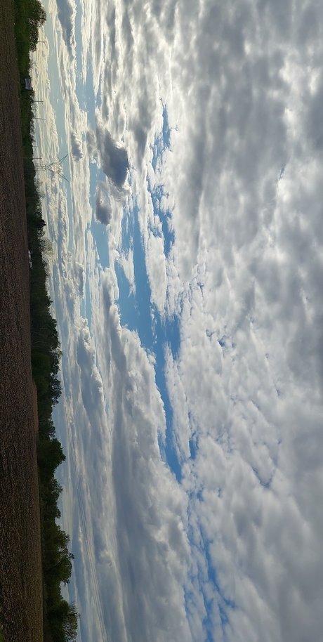 Nutty professoar best star picture