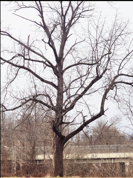 Lady Like That nice actress archive