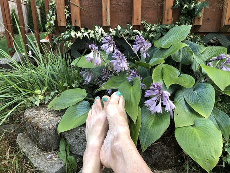 No Pussi Foot n Around hot pornstar gallery