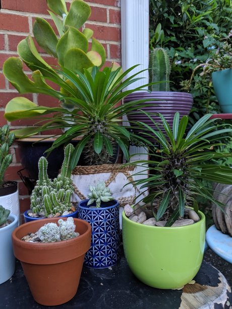 Matt woodds pretty star photos