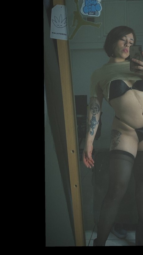 Ely best model gallery