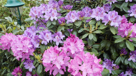 Patrick Schroeter star sex pic