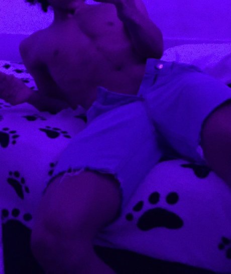 niv sex star galleries