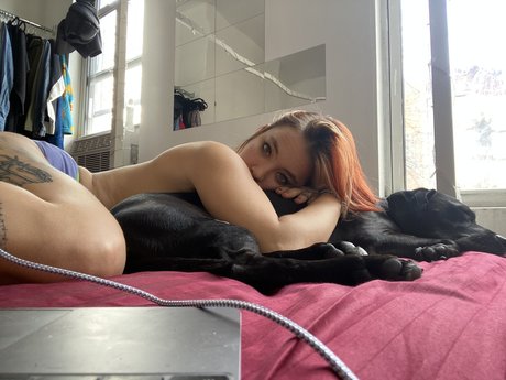 Thaddy star hd images