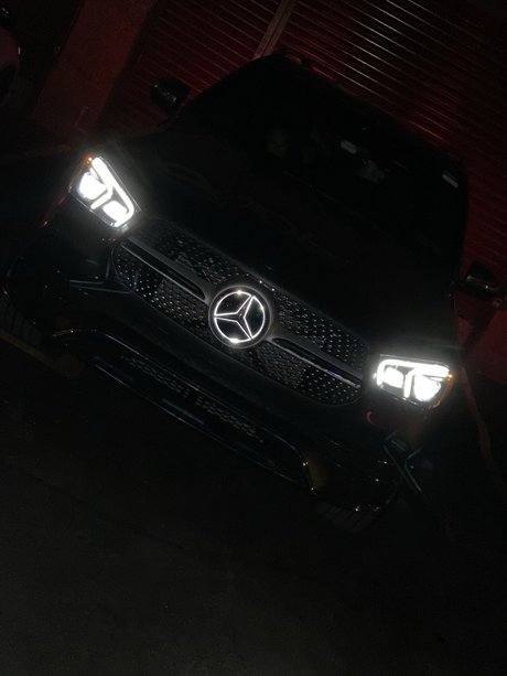 El perverso pornstar perfect galleries