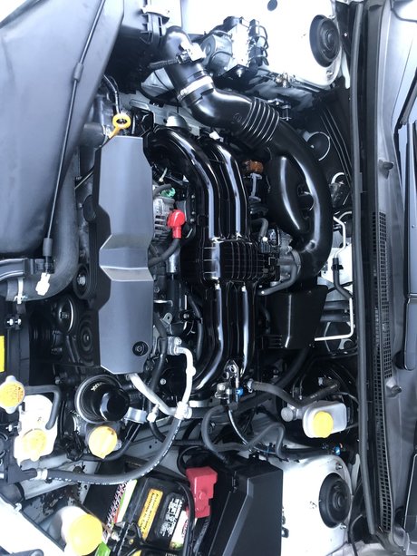 Puerto Rican pornographic model gallery