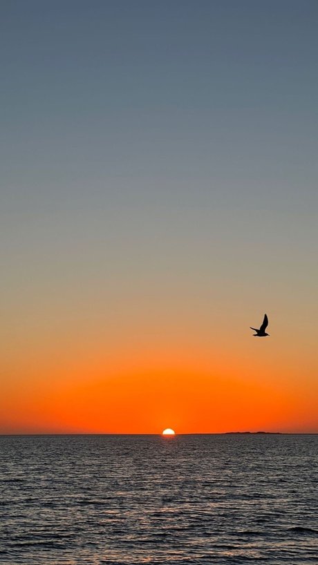 Pepe Angell erotic pornstar pics