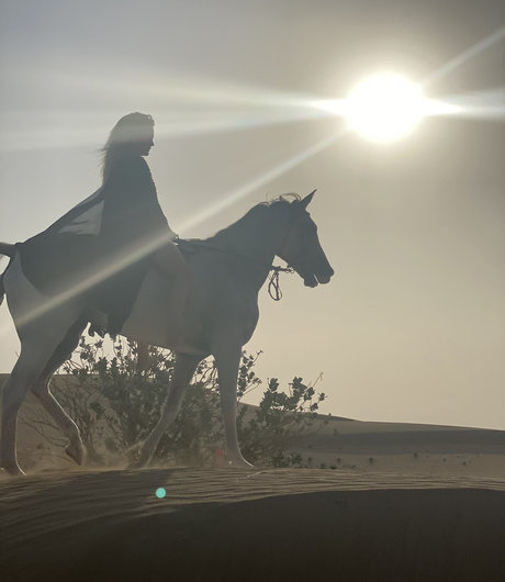 PeepingTomsQuest star art pics