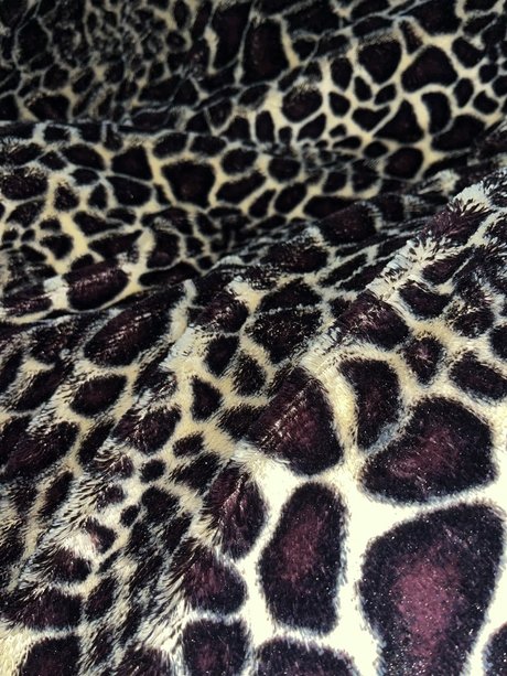 P de Sereia star hd img