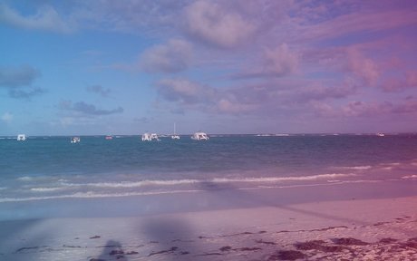 Pat Z top star photos