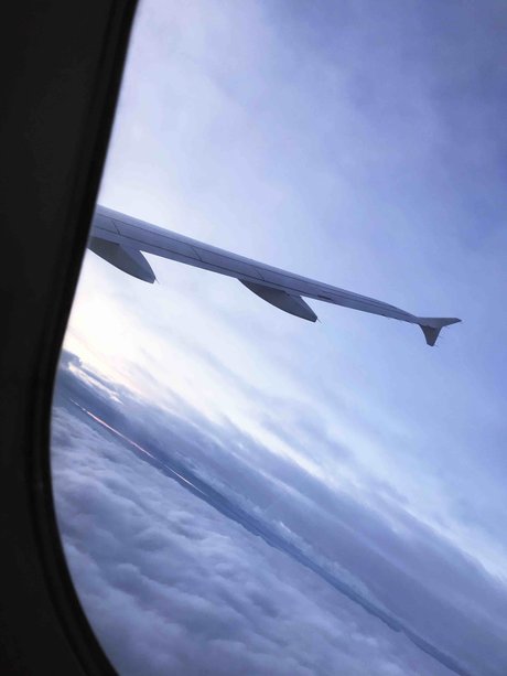 PapiRigo pretty star image