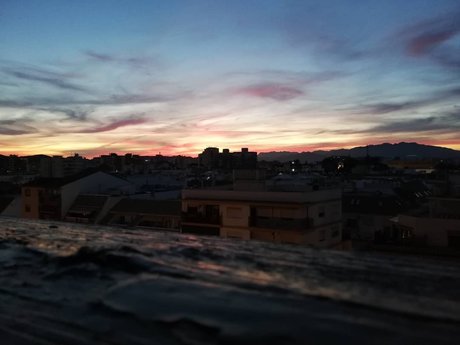 Pandana star beautiful picture