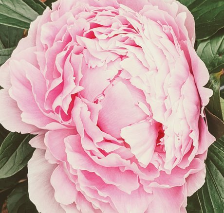 Owlseaeye best pornstar pic