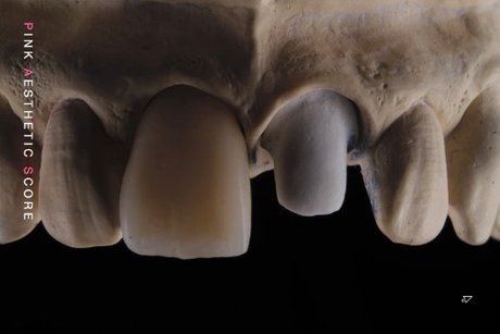 OnlyDentistry pornstar nudes img