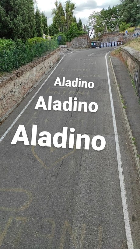 Aladino star exclusive archive
