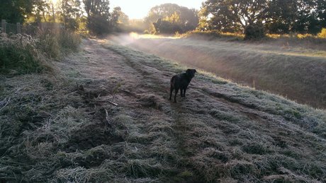 onkelbert exclusive pornstar photos