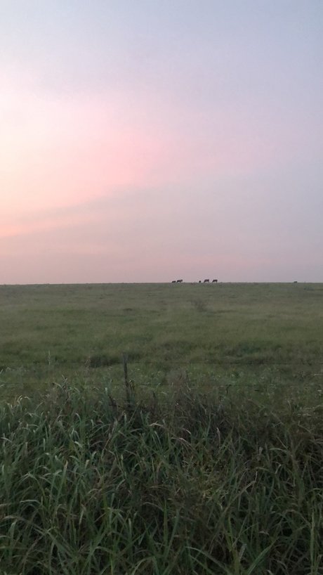 Mistress Nikki nudes actress pictures