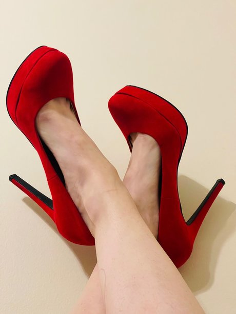 Premiumtootsies sexy star photo